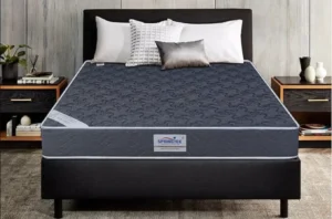 Springtek Coir Mattress